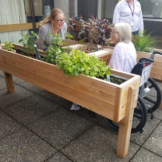 Harmony Wheelchair Accessibility Garden