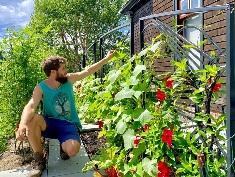 Edible Garden Consultation with HomeHarvest MA | Boston, Greater Boston, Massachusetts