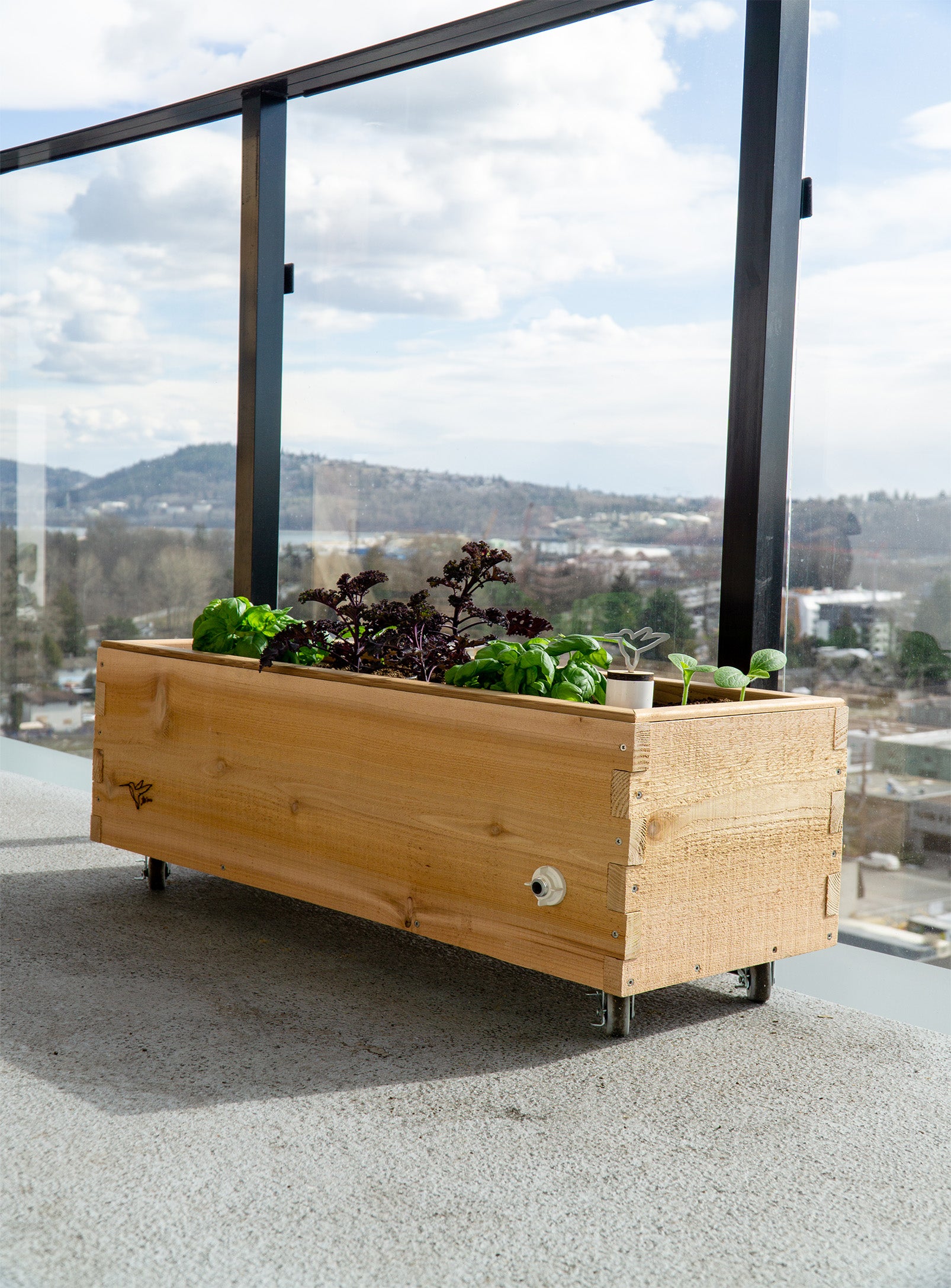 self watering planter with wheels LowRider Self-Watering Planter