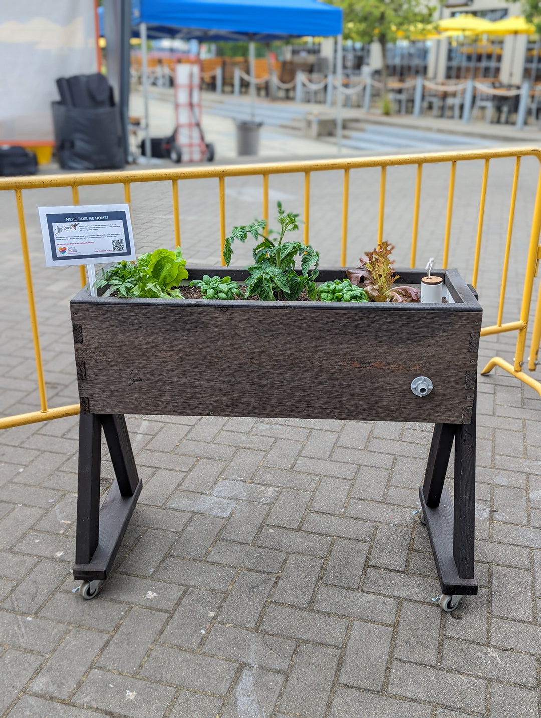 Cheer @ the Pier! 9. HighRise Self-Watering Planter (Raven Finish with Wheels)