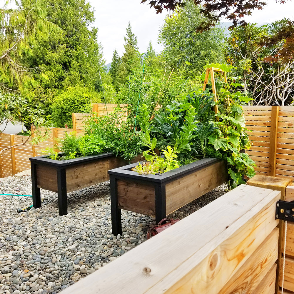 Elevated Heirloom - Self-Watering Planter