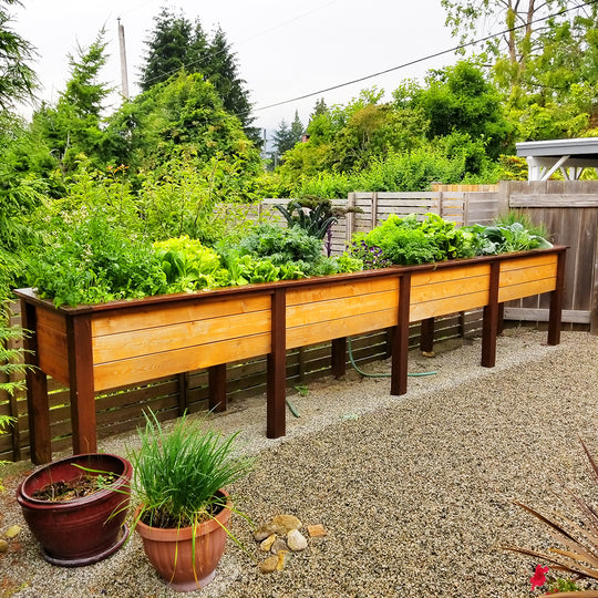 Elevated Heirloom - Self-Watering Planter