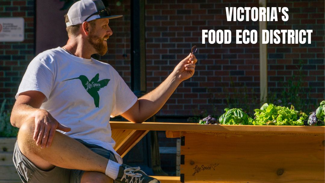 Victoria's Food Eco District