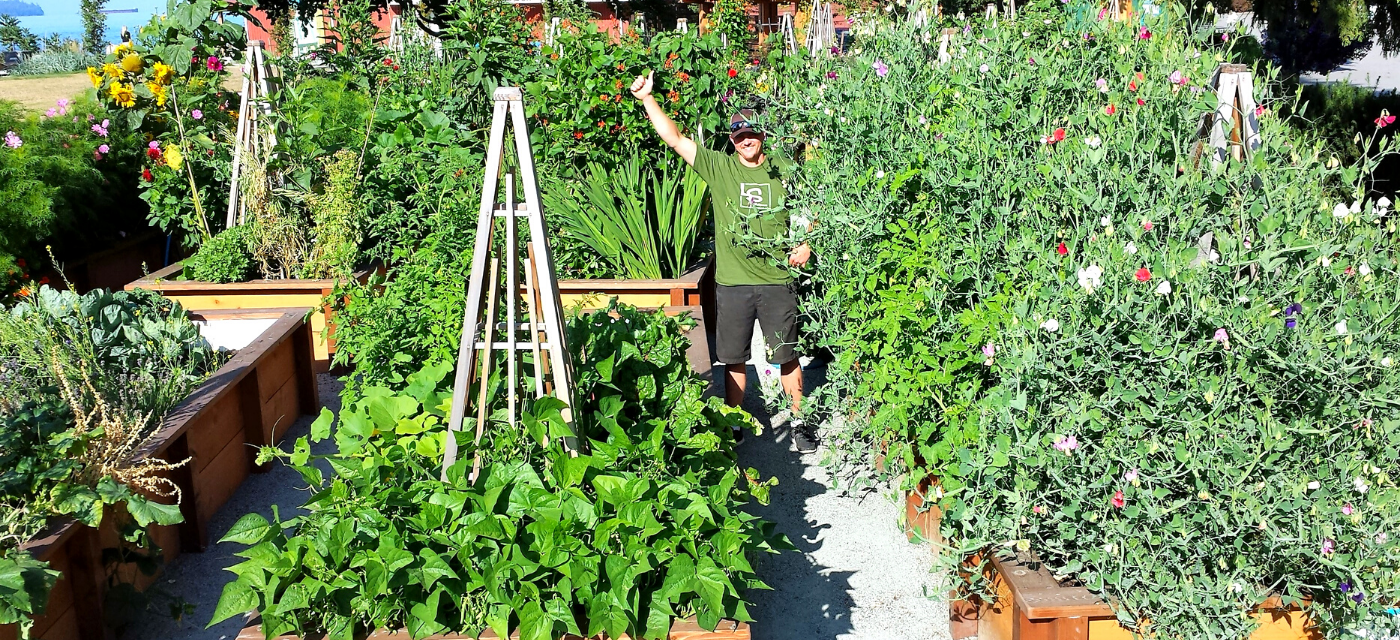 Growing The Right Garden for You: Sun, Size and the Ideal Location.