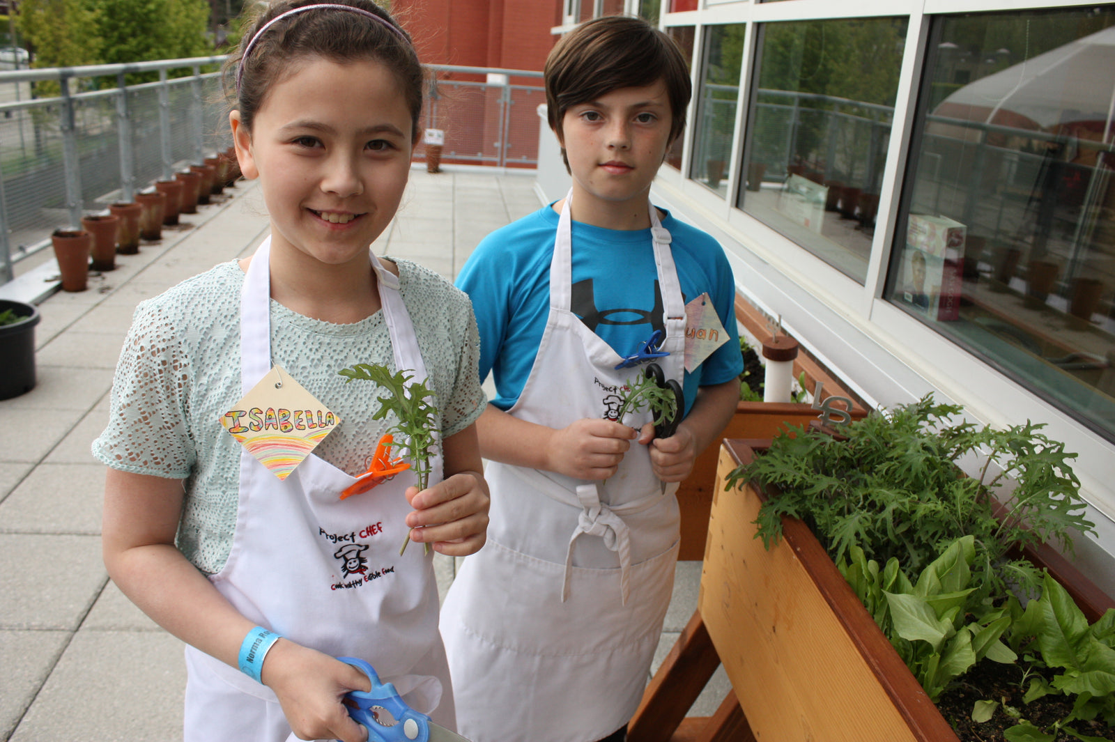 The Learning Garden