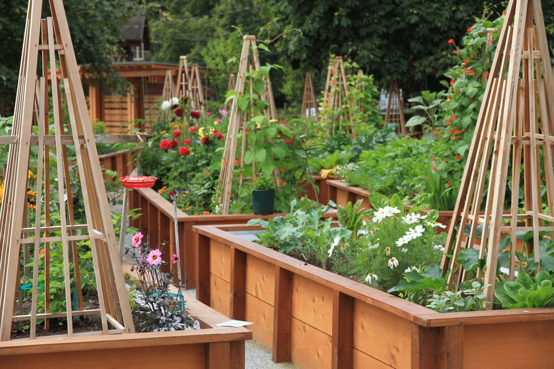 Millennium Gardens
