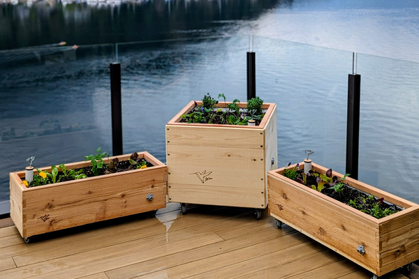March: Waking Up Your Spring Garden