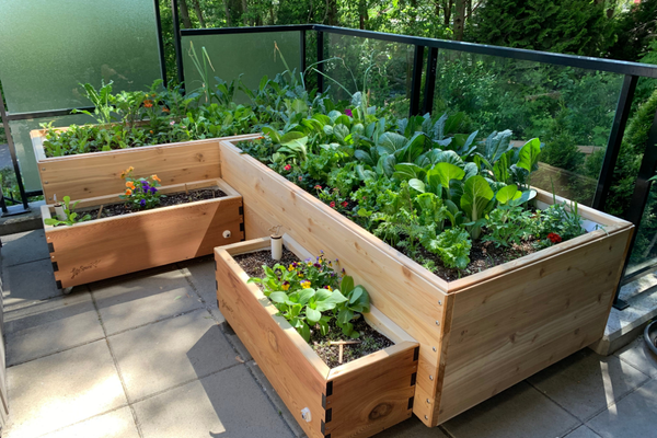 May: Planting for Summer