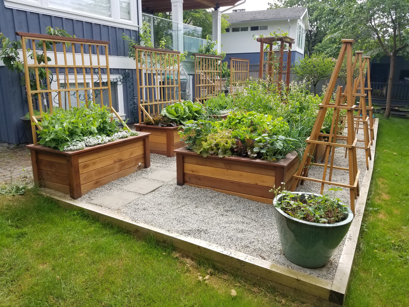 Garden Consultations | Expert Advice | LifeSpace Gardens