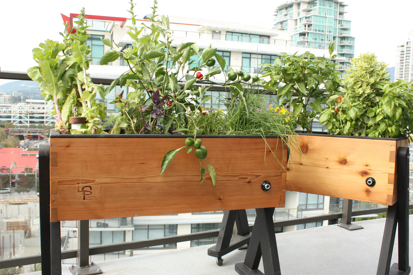 Balcony Garden Boxes Urban Gardens LifeSpace Gardens