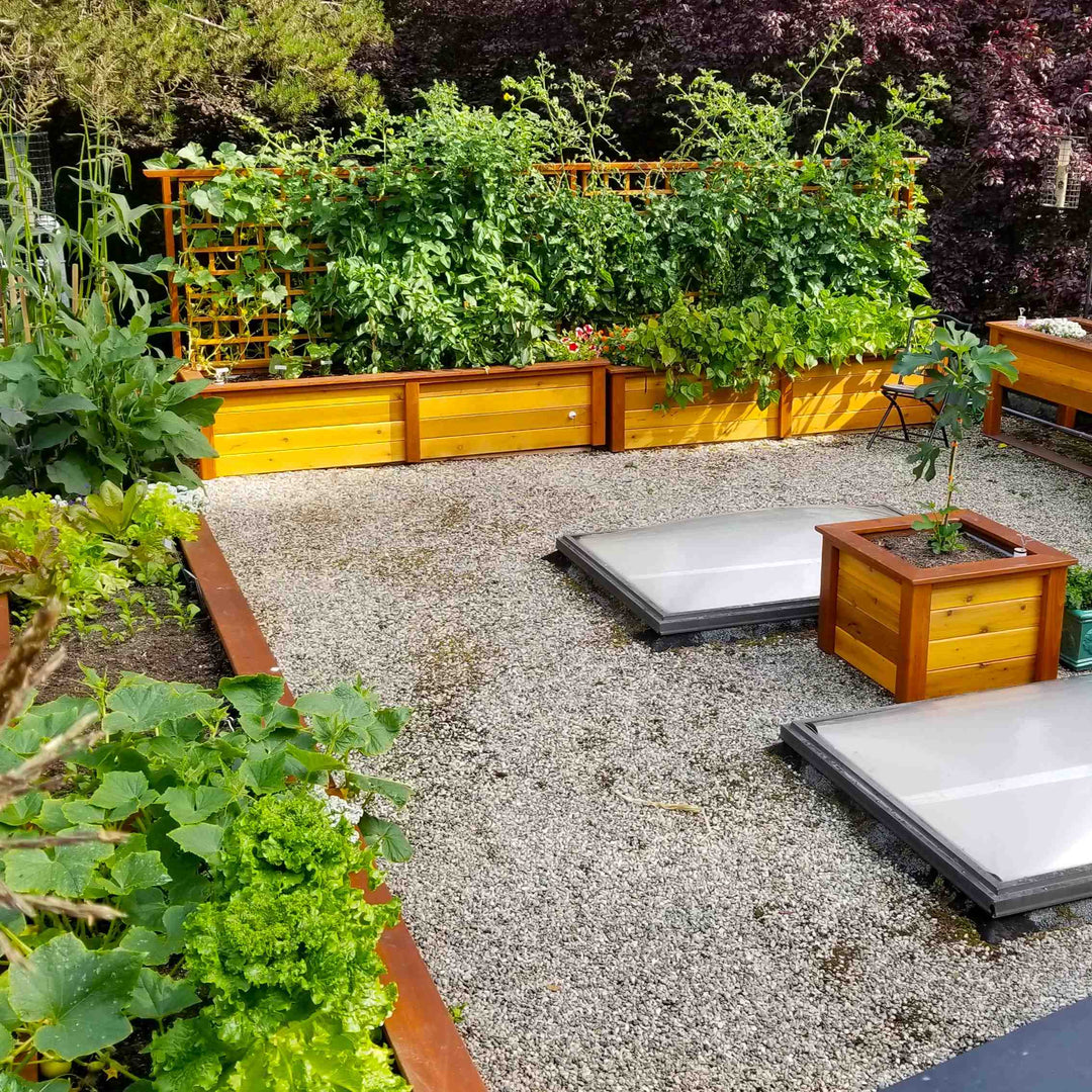 self watering raised bed planter Heirloom - Self-Watering Raised Garden Bed