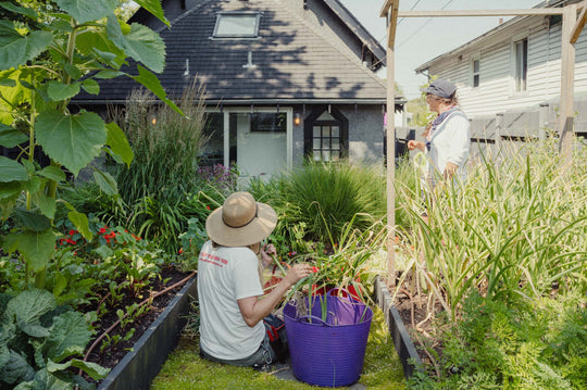 Victory Gardens | Vancouver, Kitsilano, North Van