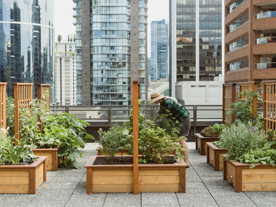 Victory Gardens | Vancouver, Kitsilano, North Van