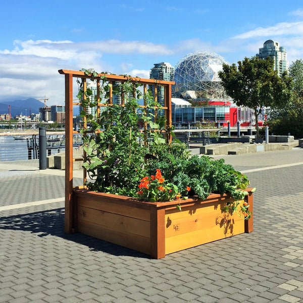 Science World PLanter collection