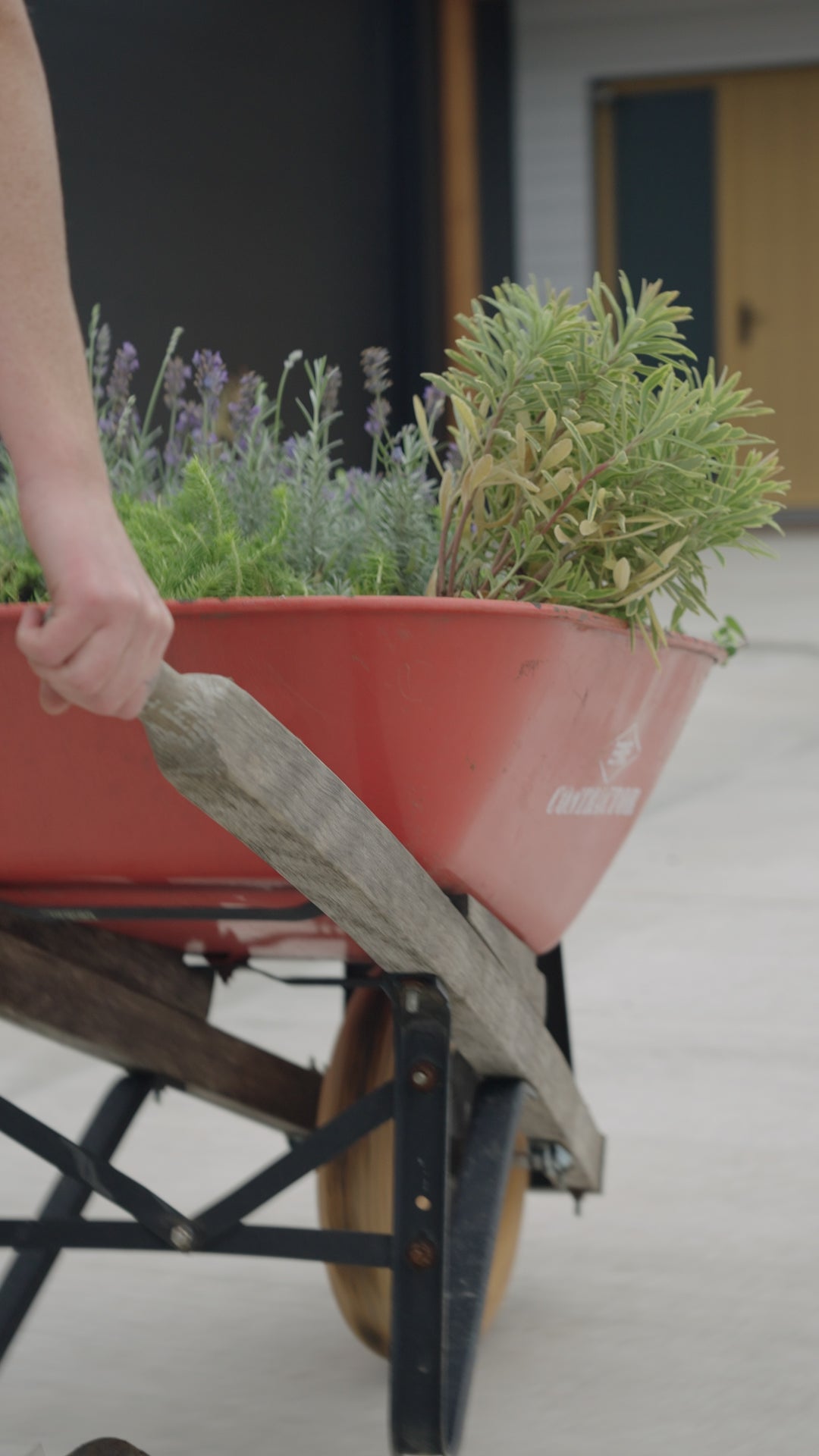 Bloomworks Gardening | Revelstoke BC