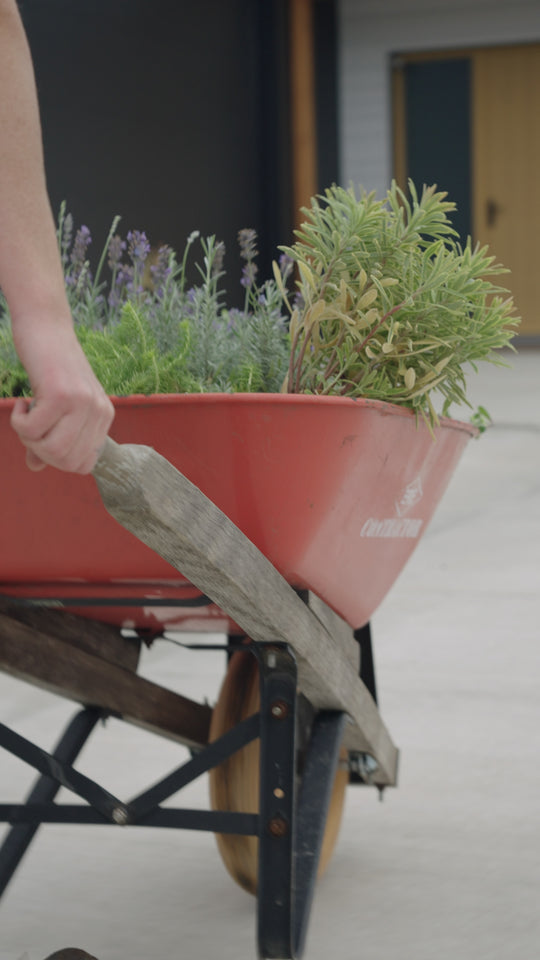 Bloomworks Gardening | Revelstoke BC
