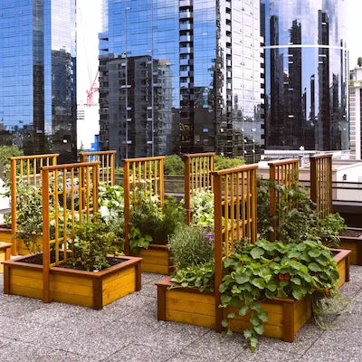 Concert Rooftop Garden