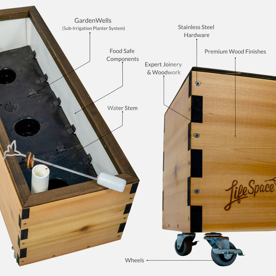 LowRider Self-Watering Planter