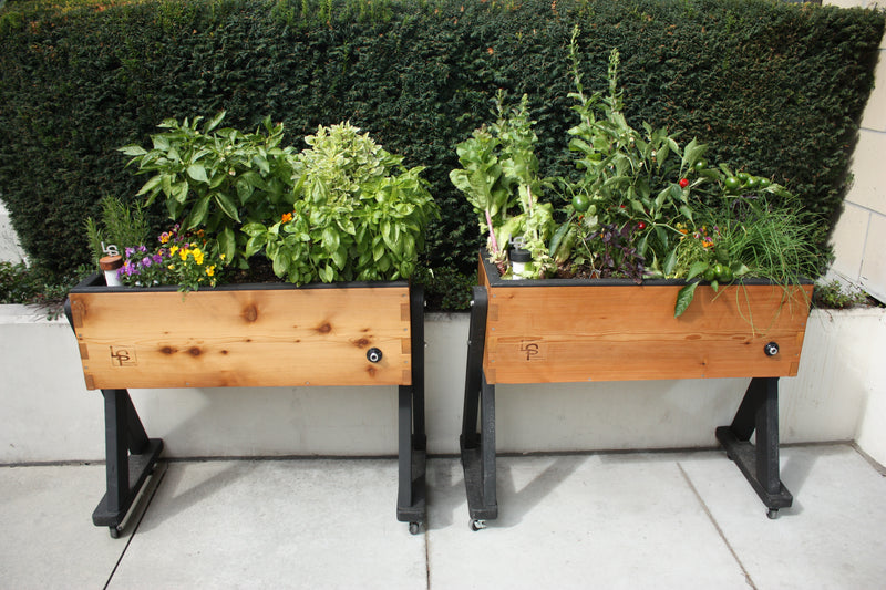 Two High Rise Self Watering Plan