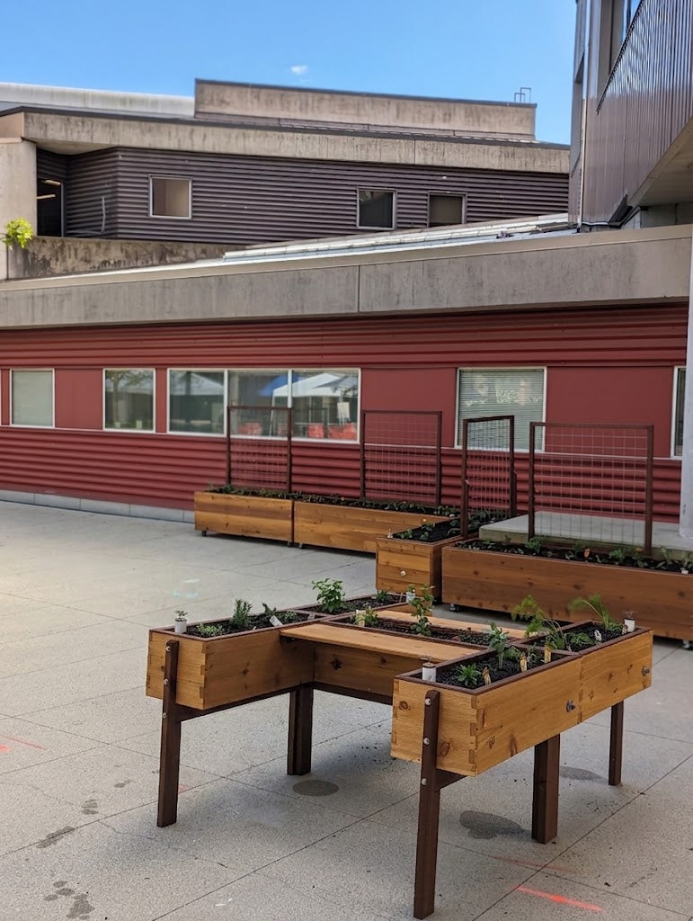 Harmony Wheelchair Accessibility Garden