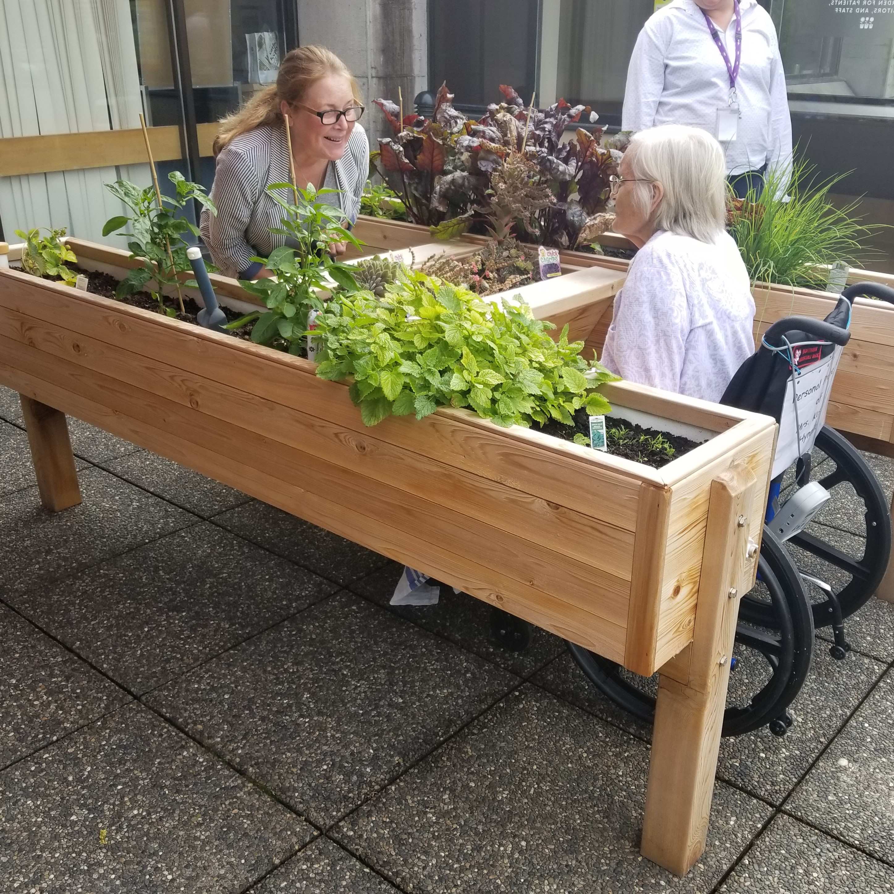 Accessibility Gardens | Elevated Designs – LifeSpace Gardens