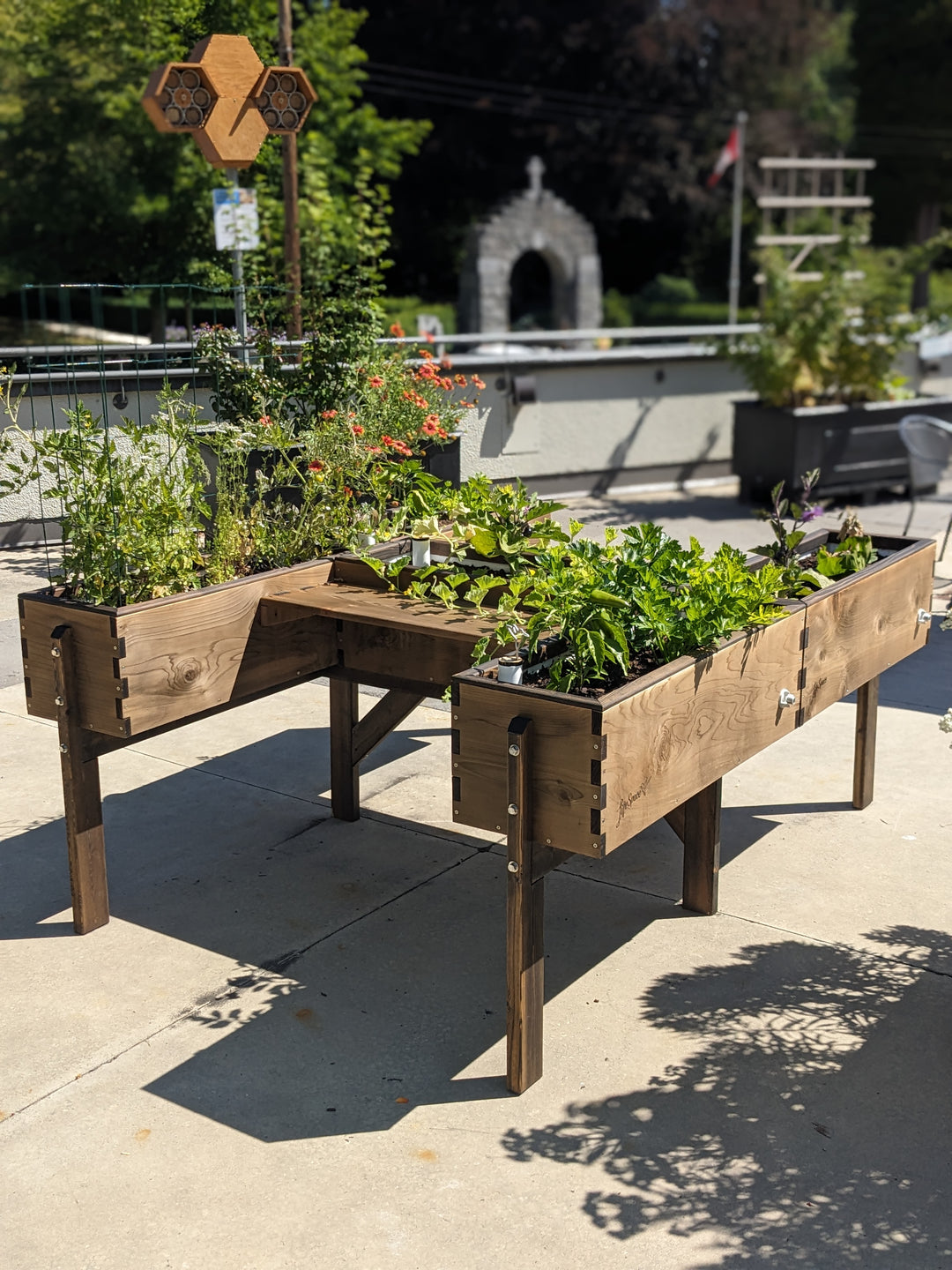 Wooden planter box with plants on a concrete surface outdoors
