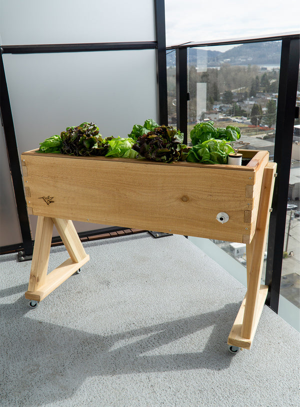 HighRise Self-Watering Planter