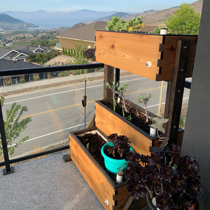 Canopy Self watering garden