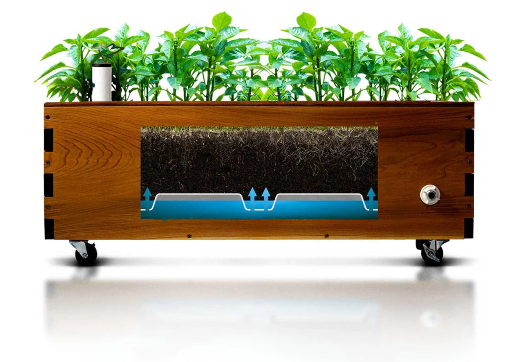 A wooden wheeled planter box with black casters, shown on a white background with a reflection. The planter features a large front cutaway window displaying a cross-section of the soil and root system, with blue arrows indicating water flow.