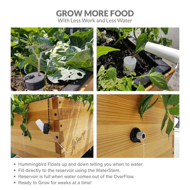 LowRider Self-Watering Planter