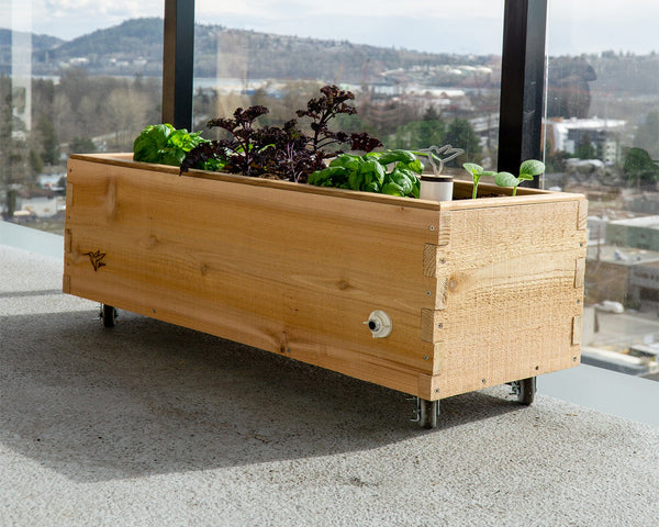 LowRider Self-Watering Planter