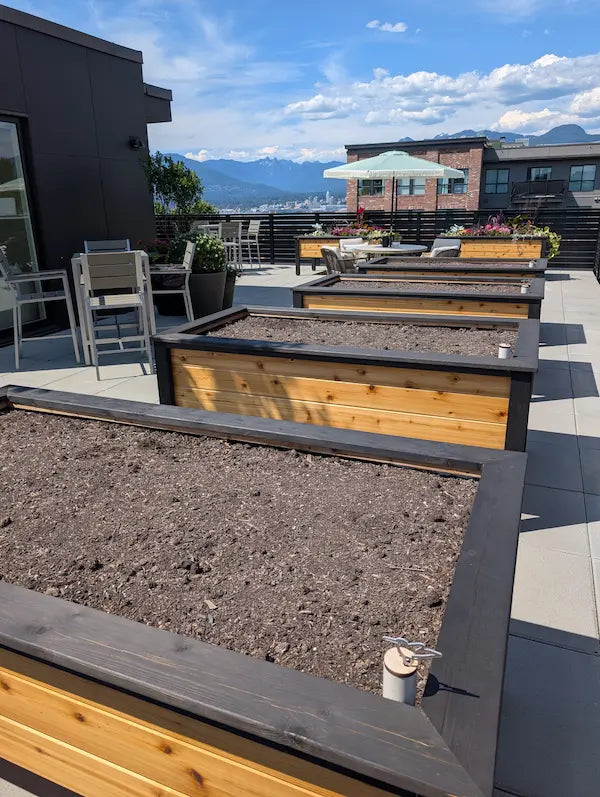 Open Concept Rooftop