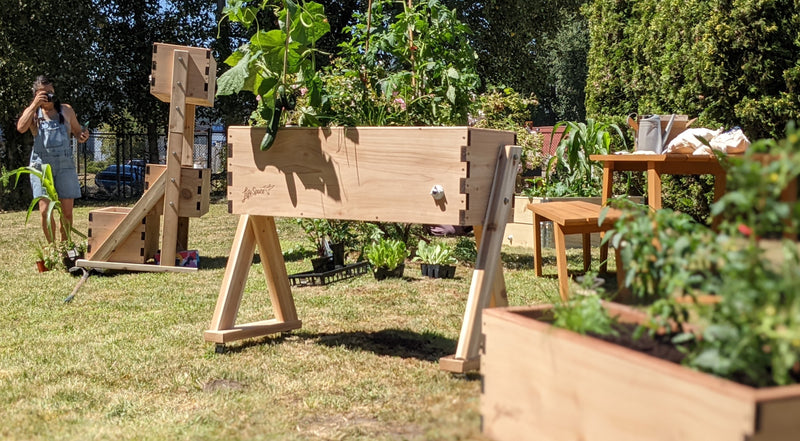A High Rise Garden box and companion planting guide stand in a backyard garden next to a woman watering plants.