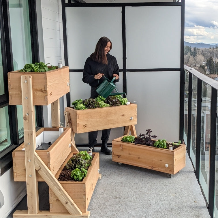 LifeSpace Gardens \ Self-Watering Planters to Grow Your Own
