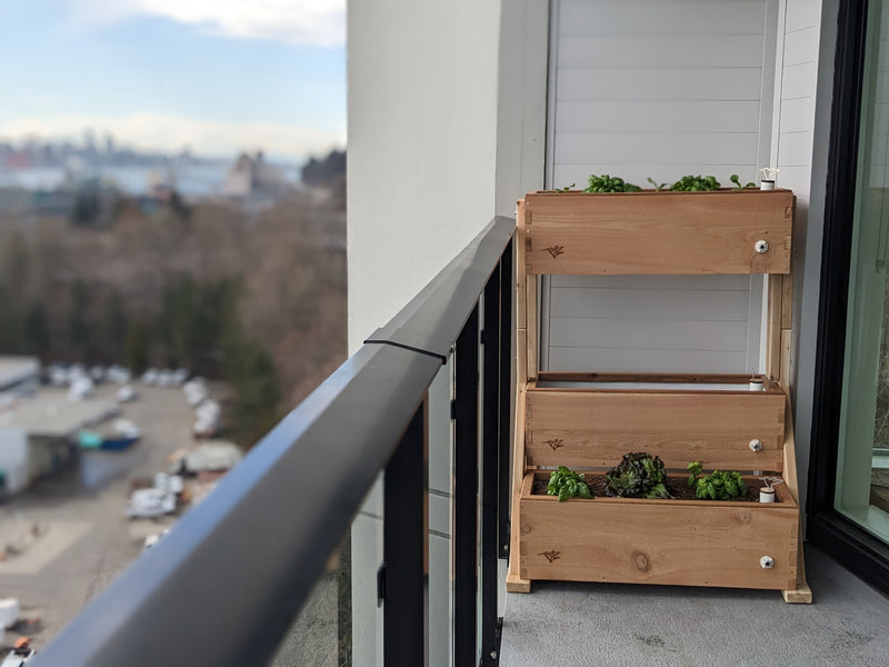 A Canopy garden bed with small plants, set on a balcony with a railing and an outdoor city view in the background.