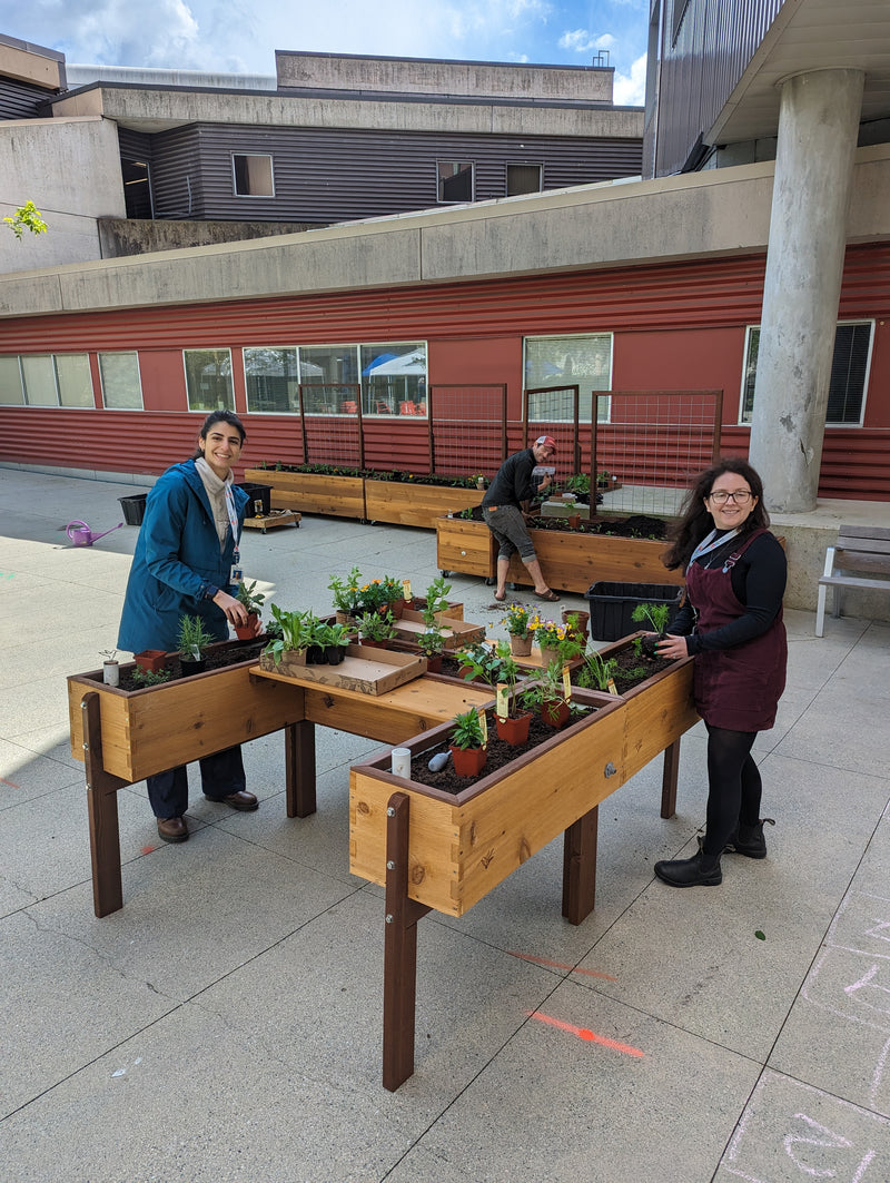 Three people standing outdoors on a concrete patio next to wooden raised garden beds filled with small potted plants, with a red building in the background.