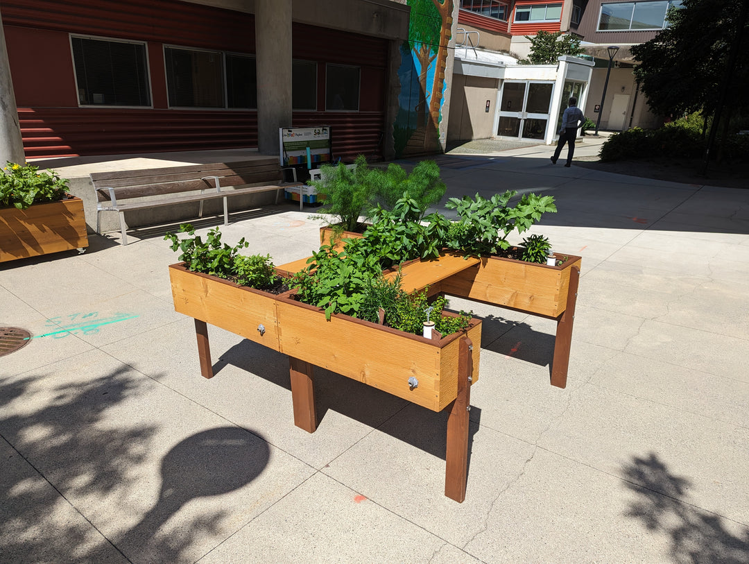 Wooden planter boxes with plants on a concrete surface outside a building.
