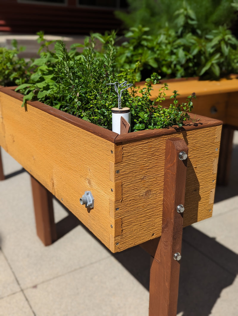 A wooden raised garden bed with a warm honey-oak finish and dark brown stained edging, filled with green herbs, photographed outdoors on a paved patio.