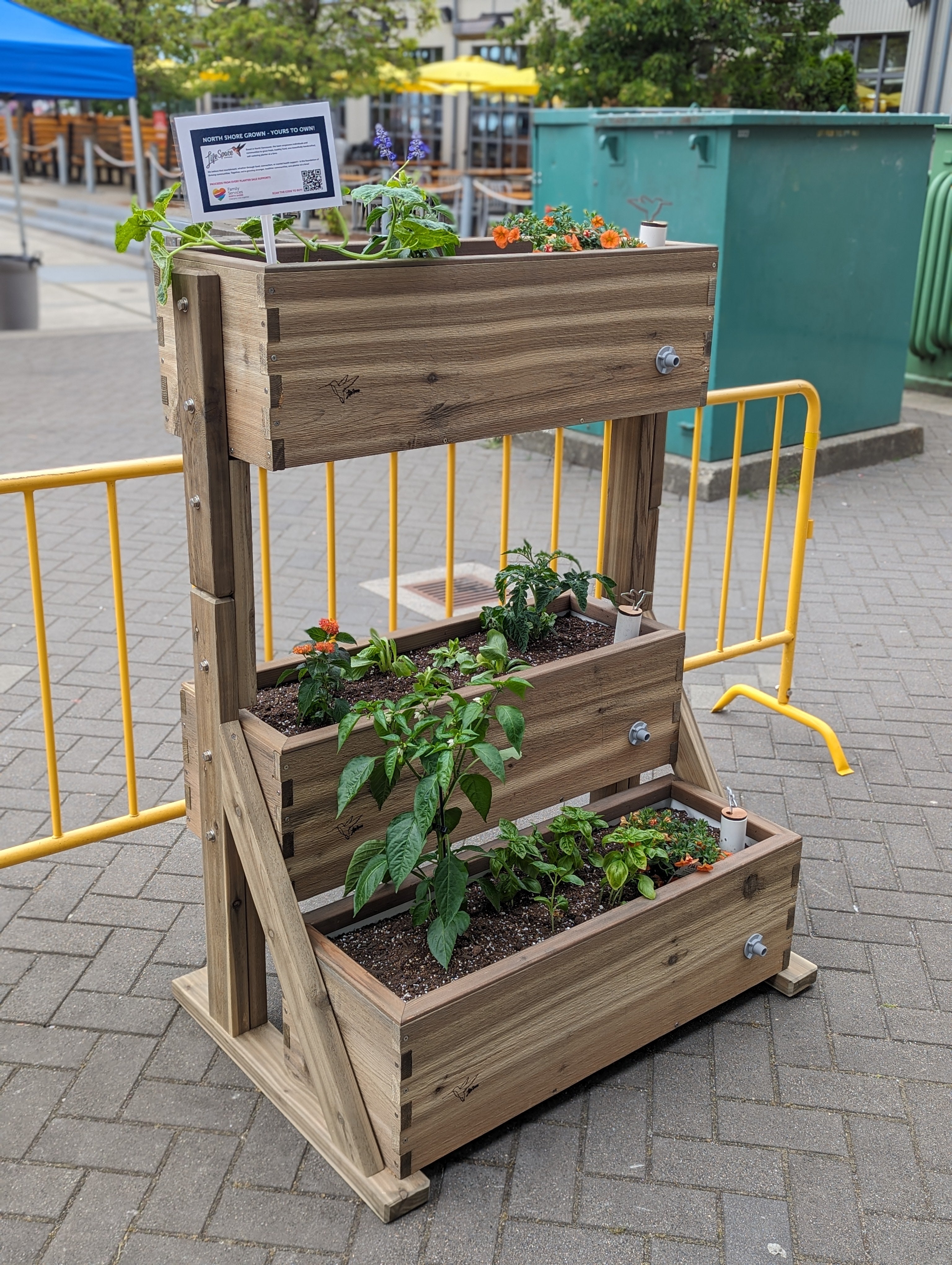 全国どこでも送料無料！ Products – LifeSpace Gardens 趣味・スポーツ・実用
