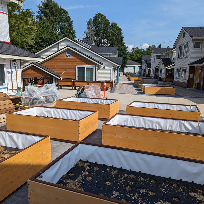 Wooden raised garden beds with gardenwells sub-irrigation on a patio area with houses and trees in the background.