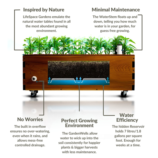 LifeSpace Gardens with text highlighting features inspired by nature, minimal maintenance, water efficiency, and perfect growing environment.