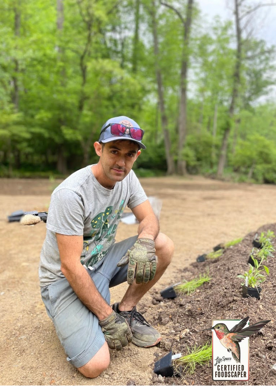 Tomorrow's Homestead | South Eastern Pennsylvania