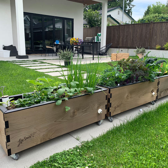 LowRider Self-Watering Planter