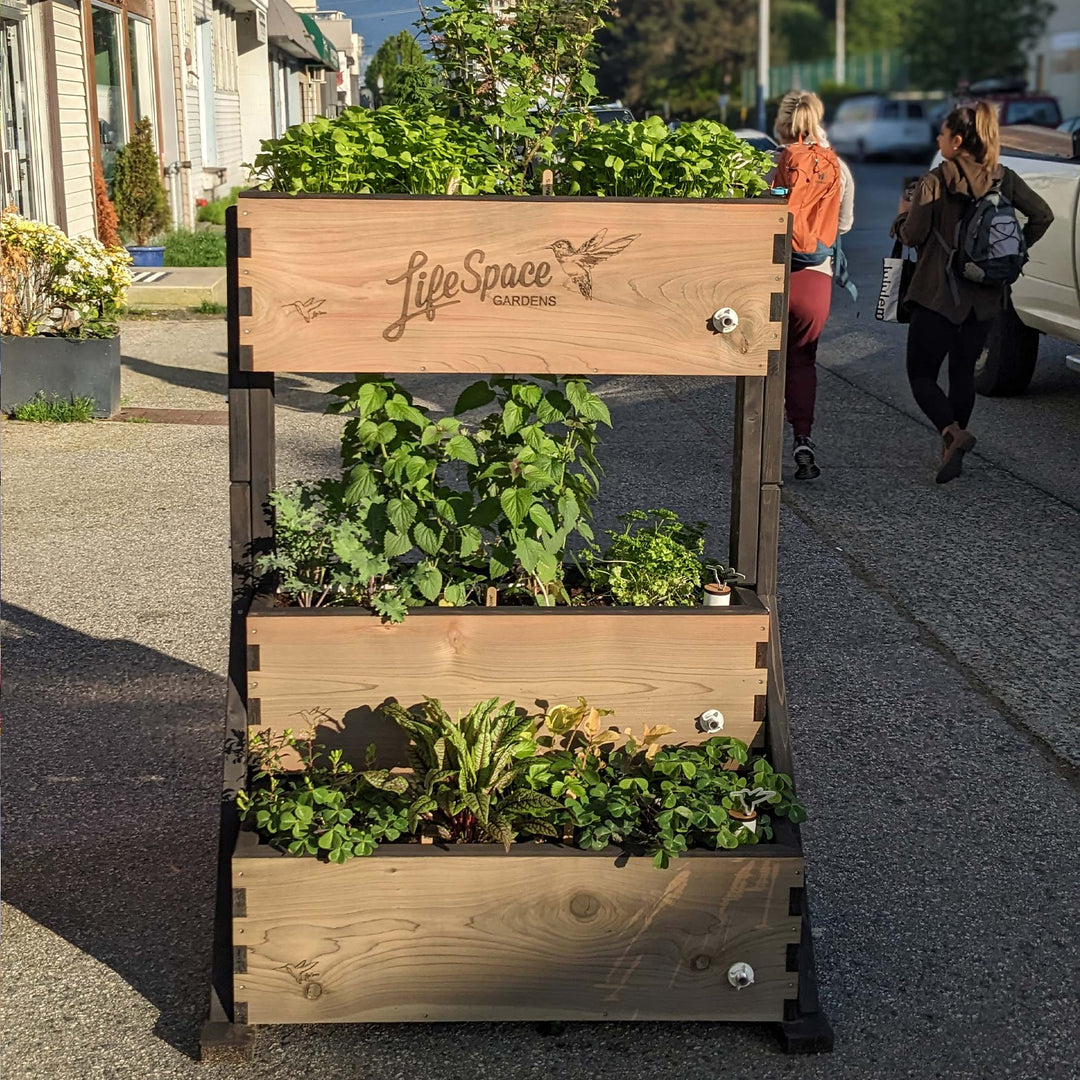 canopy self watering planter Canopy Self-Watering Vertical Garden