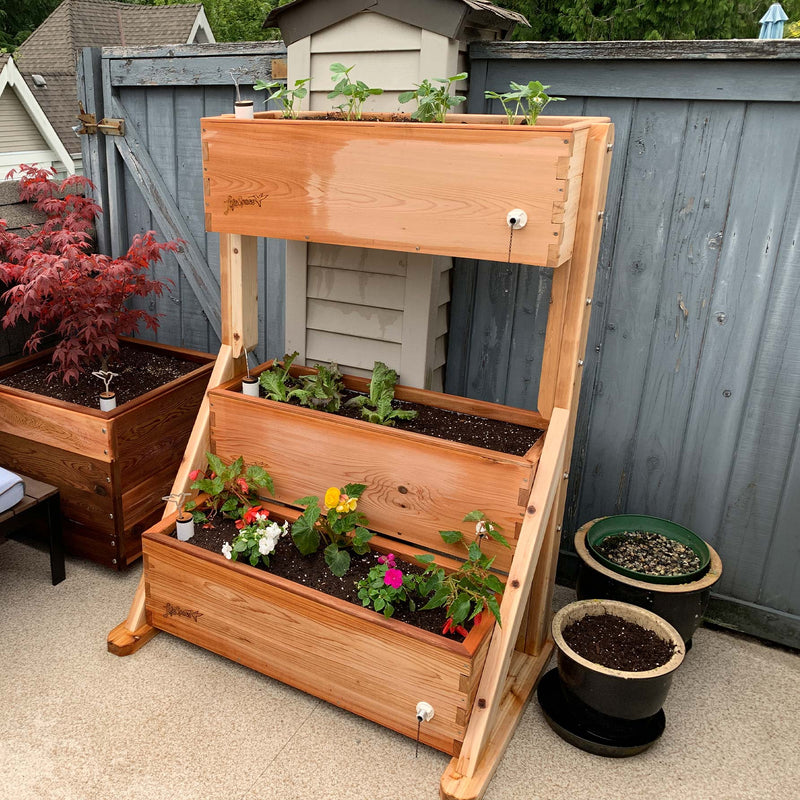 Canopy Self watering garden