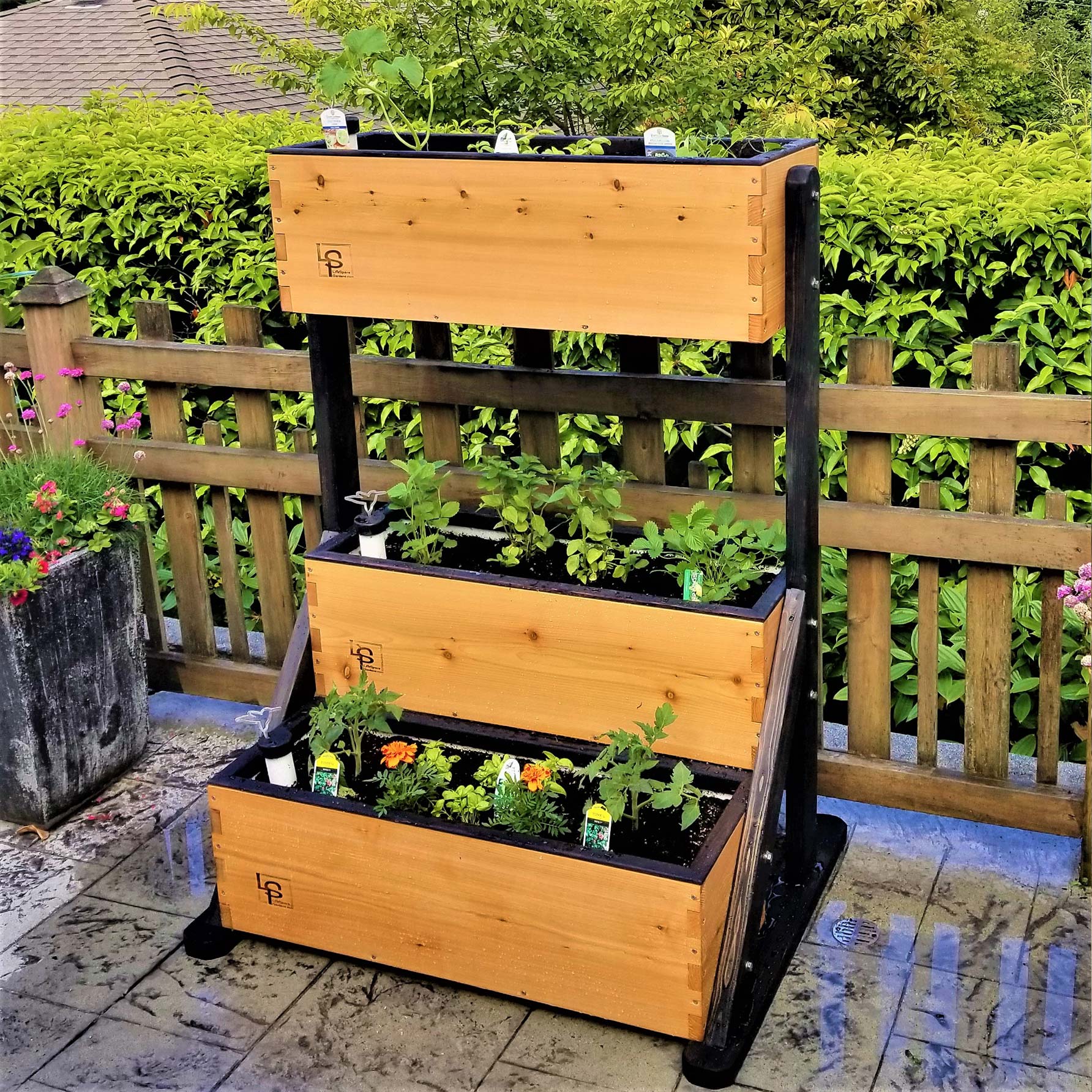 Canopy Self-Watering Vertical Garden | Patio & Balcony Garden