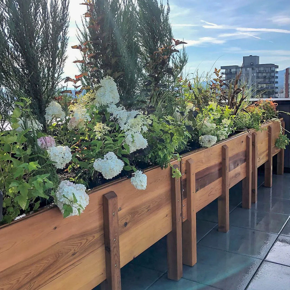 Elevated Artifex - Self-Watering Planter