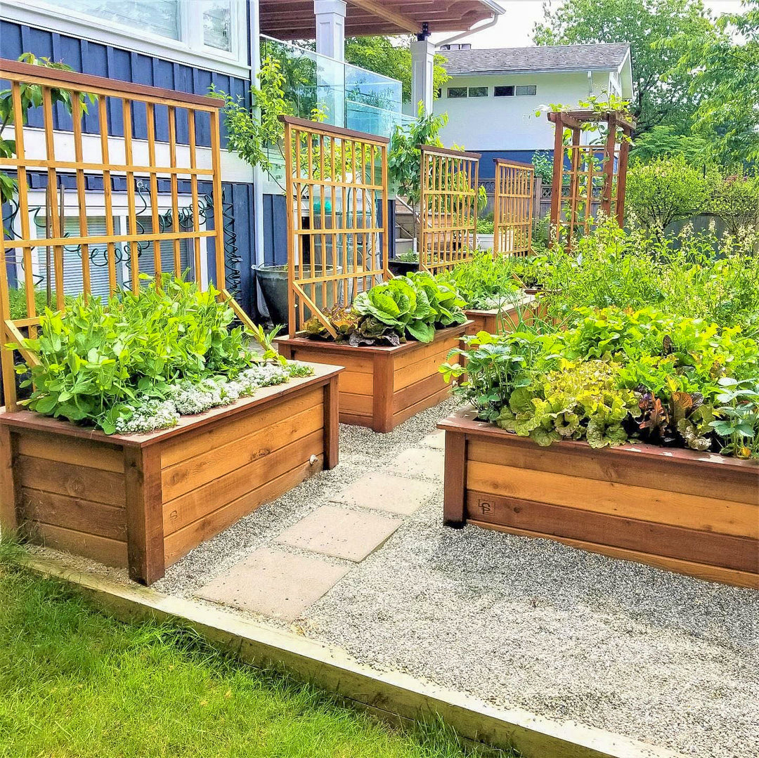 Heirloom - Self-Watering Planter