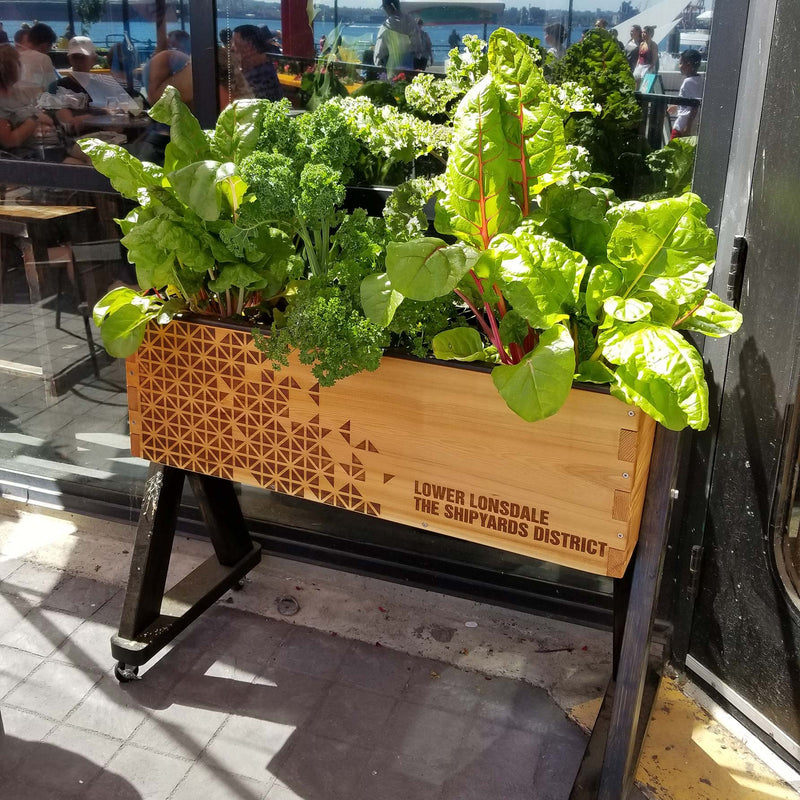 HighRise Self-Watering Planter