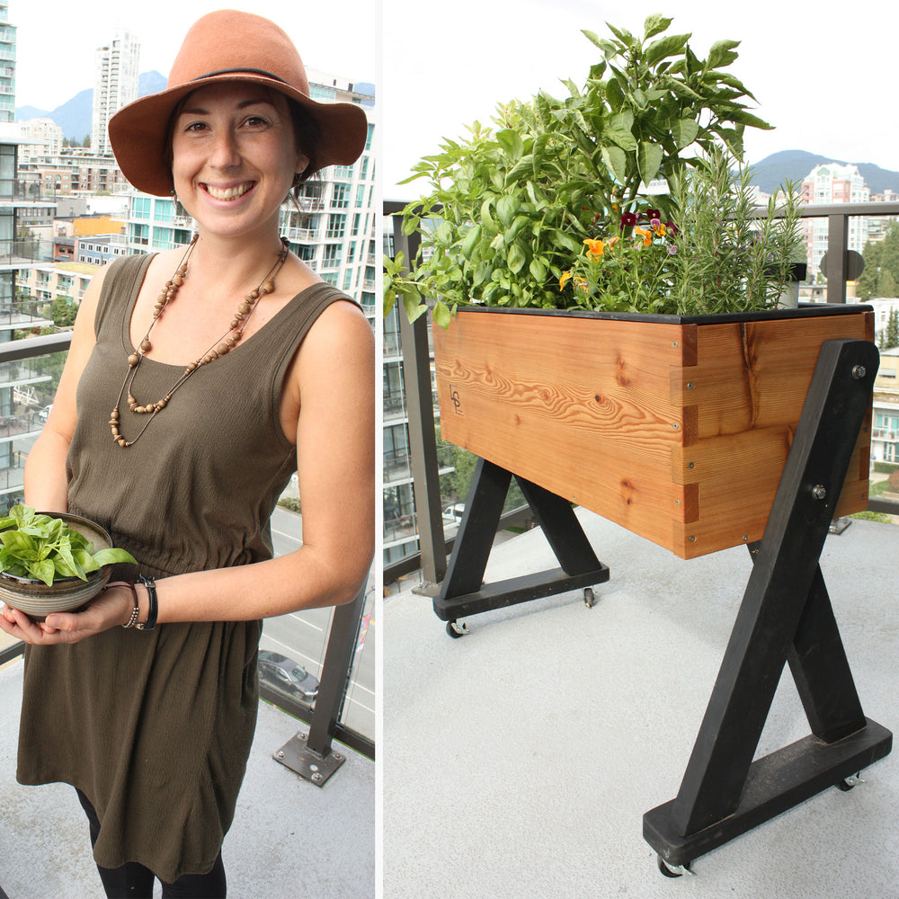 HighRise Self-Watering Planter